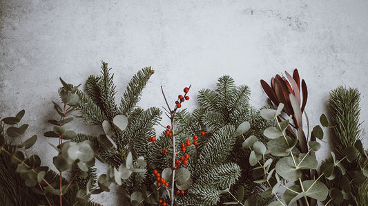 Gesund und fit durch Weihnachtszeit