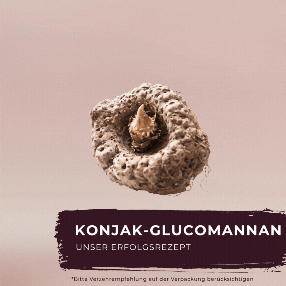 Starter-Set, 3 x 240g