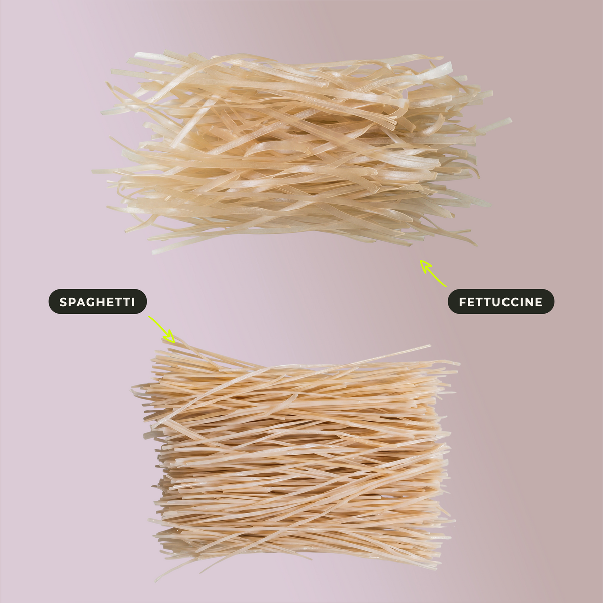 Shileo Vorratspaket Pasta, Spaghetti und Fettuccine trocken